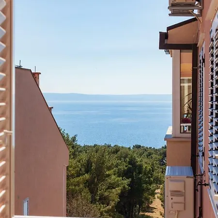Kiwi Anna * Makarska